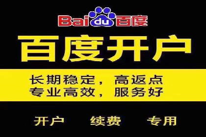 专业SEM托管助力企业快速成长案例分析